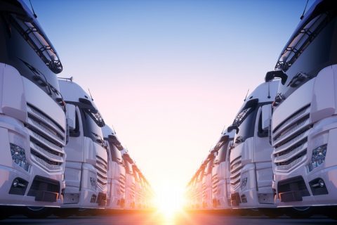 運送業界でキャリアを築こう！株式会社鈴木運輸の大型ドライバー求人情報