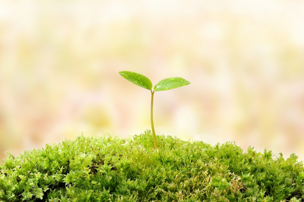 岡山県赤磐市で活躍したい運送業のプロを募集！